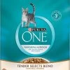 Purina ONE Tender Selects Blend With Real Chicken Dry Cat Food, 16-lb